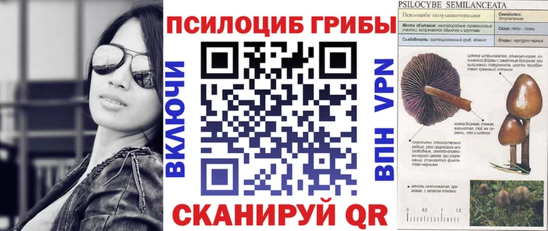MEGA ONION Усть-Илимск Галлюциногенные грибы GOLDEN TEACHER